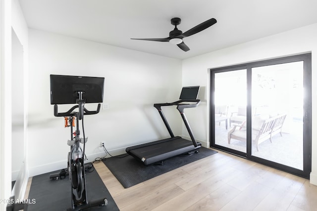 workout area featuring ceiling fan and light hardwood / wood-style flooring