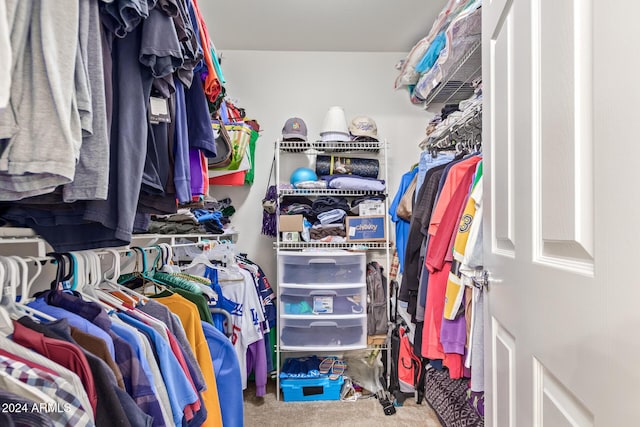 walk in closet featuring carpet floors