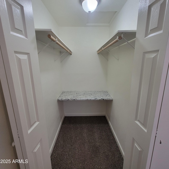 3645 N 69th Ave Unit 99, Phoenix, AZ 85033 - walk in closet featuring carpet