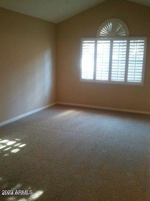 carpeted empty room with vaulted ceiling and plenty of natural light