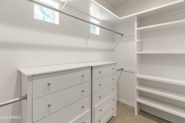 spacious closet featuring light carpet