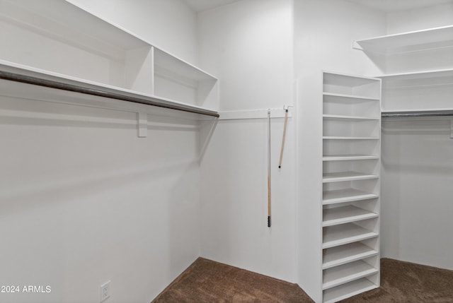 spacious closet with dark carpet