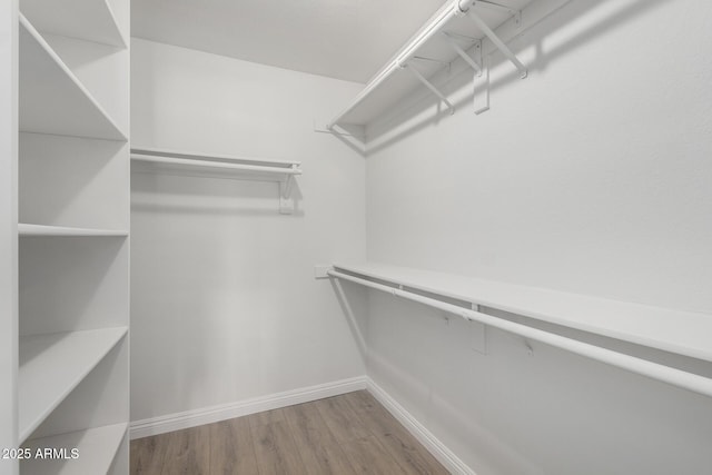 walk in closet featuring wood finished floors