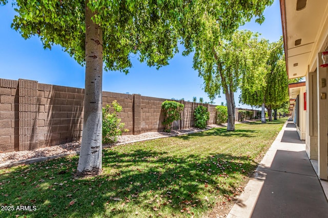 2105 S Zinnia Ave Unit 468, Mesa, AZ 85209 - view of fenced backyard