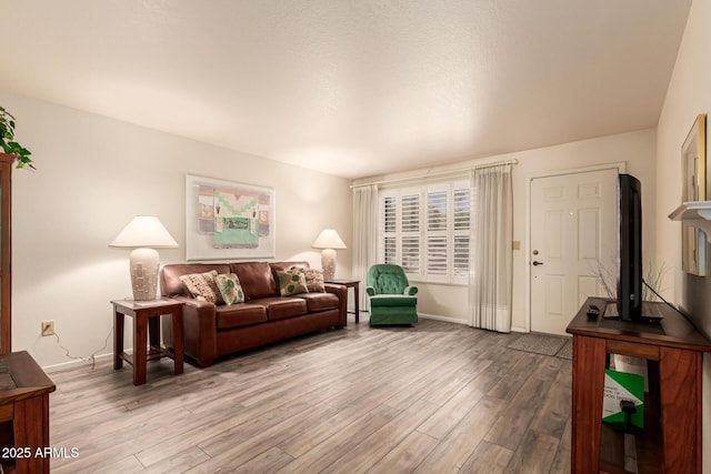 2105 S Zinnia Ave Unit 468, Mesa, AZ 85209 - living room featuring wood finished floors and baseboards