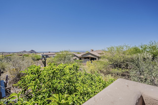 11752 N 135th Pl, Scottsdale, AZ 85259 - view of yard