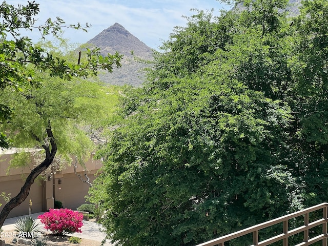 11752 N 135th Pl, Scottsdale, AZ 85259 - mountain view
