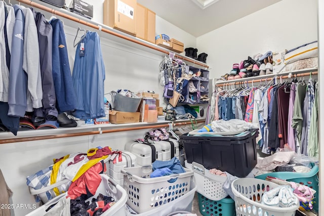 view of walk in closet