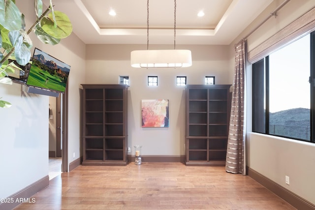 interior space featuring a mountain view, a raised ceiling, and light wood-type flooring