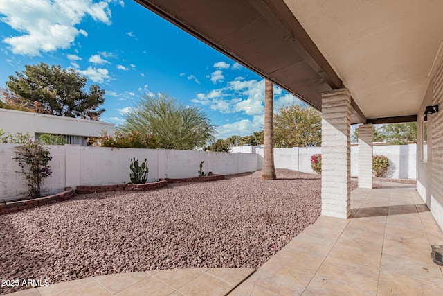 view of yard featuring a patio