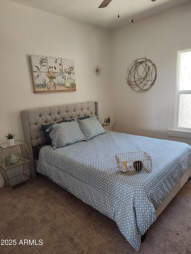 309 W Az Highway 177, Winkelman, AZ 85192 - view of carpeted bedroom