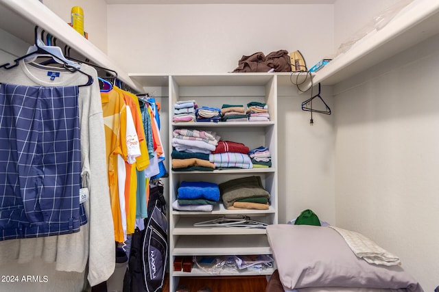 view of walk in closet