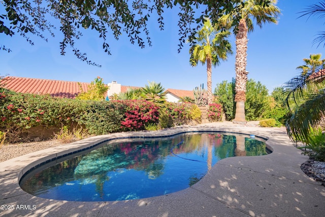 view of swimming pool