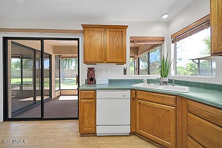 kitchen with brown cabinets, a healthy amount of sunlight, a sink, and white dishwasher