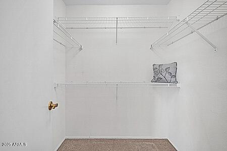 spacious closet with carpet floors