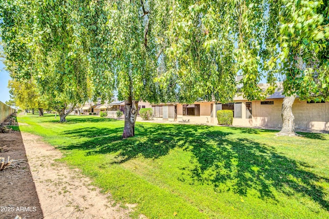 view of yard