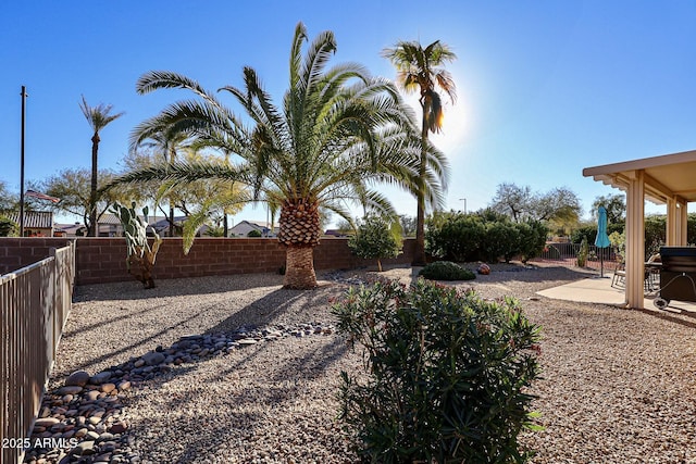 view of yard featuring a patio