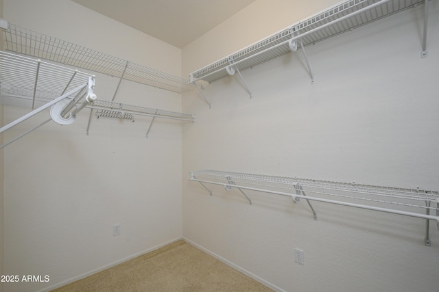 spacious closet with light colored carpet