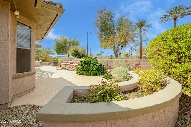 view of yard with a patio area and a fenced backyard