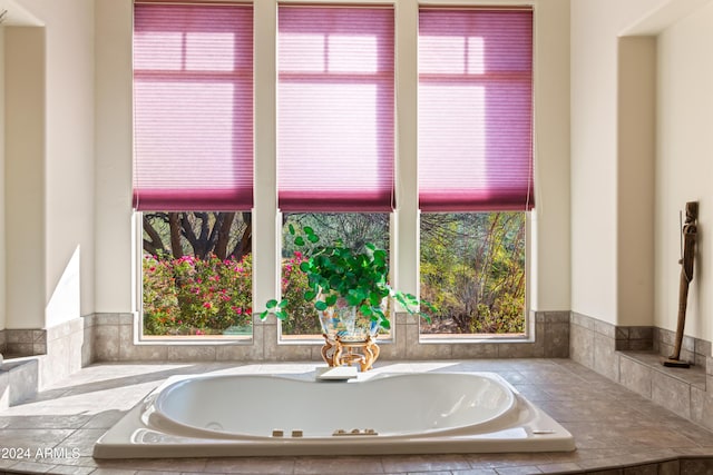 15972 N 115th Way, Scottsdale, AZ 85255 - full bathroom with a whirlpool tub and plenty of natural light