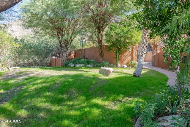 15972 N 115th Way, Scottsdale, AZ 85255 - view of yard