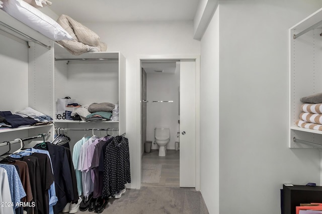 walk in closet featuring carpet flooring