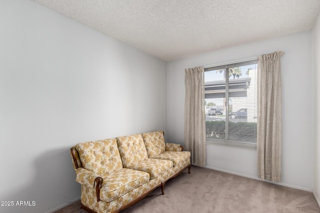 living area featuring light colored carpet and a textured ceiling