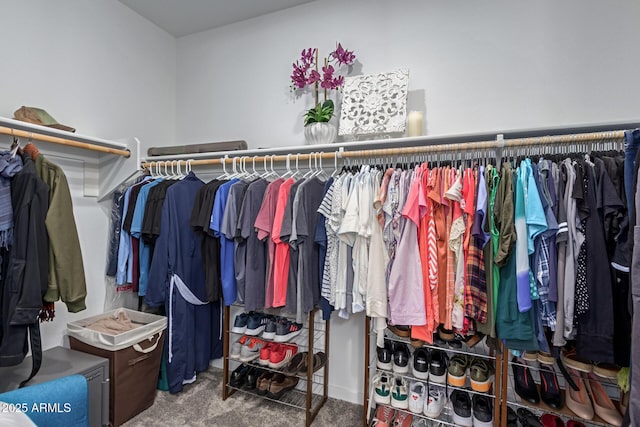 spacious closet with carpet floors