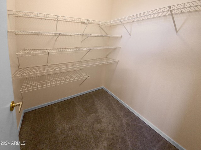 spacious closet featuring carpet floors