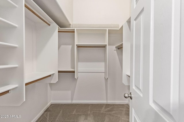 spacious closet with carpet flooring