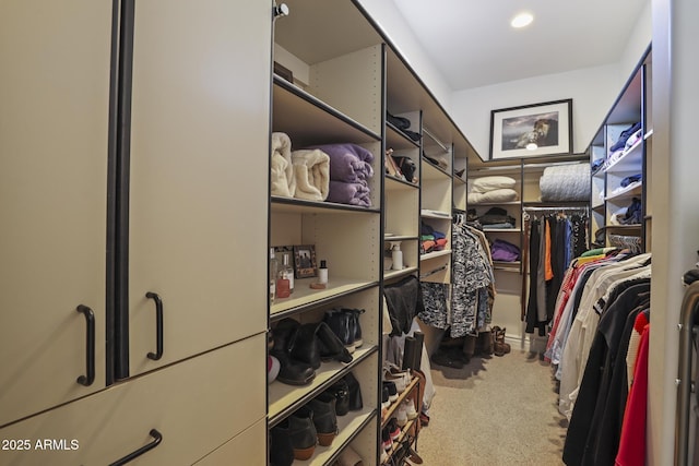 4562 N Dream Catcher Way, Pine, AZ 85544 - walk in closet with carpet flooring