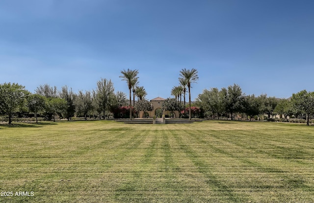 view of property's community featuring a yard