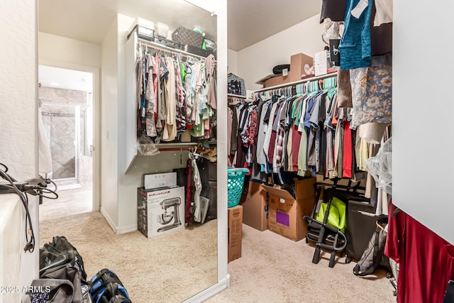 spacious closet with carpet