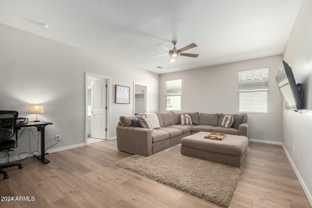 living room with ceiling fan and light hardwood / wood-style flooring