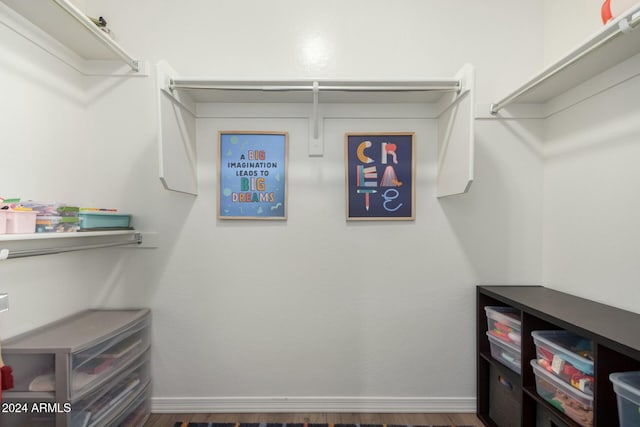 walk in closet featuring dark hardwood / wood-style floors