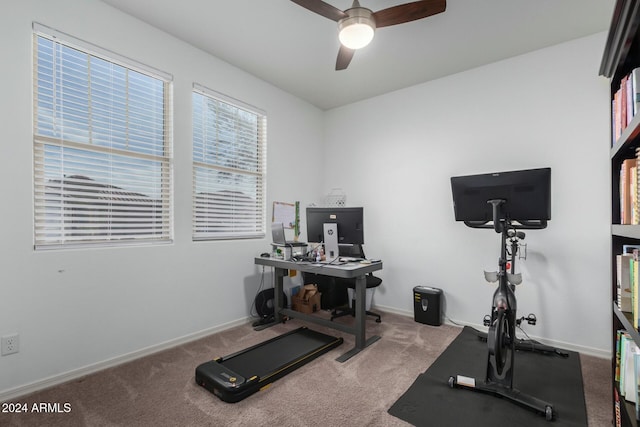 exercise area with ceiling fan and carpet