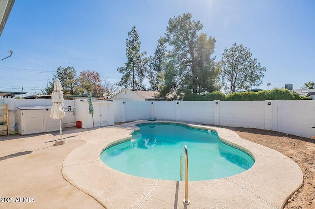 view of swimming pool with a fenced backyard and a patio