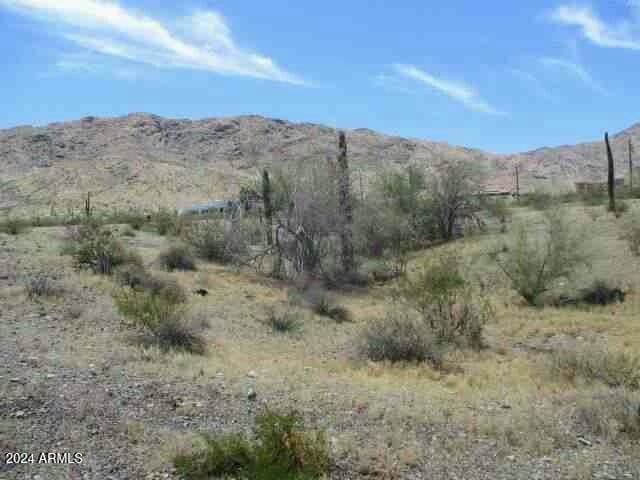 2500 W Sunrise Dr -, Unit Phoenix AZ, 85041 land for sale