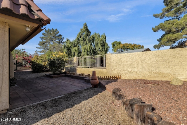 view of yard featuring a patio