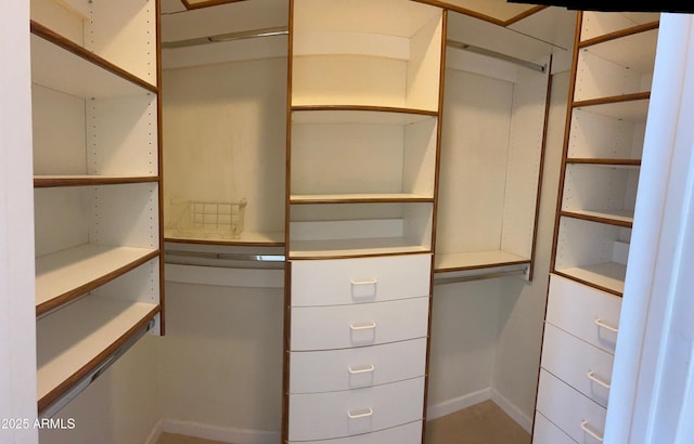 view of walk in closet