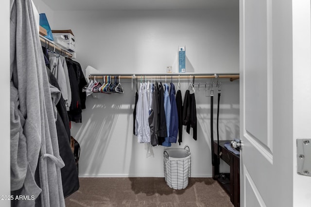 walk in closet with carpet flooring