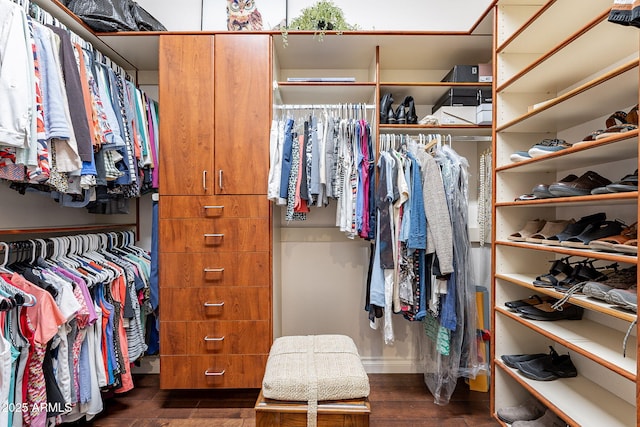 view of spacious closet