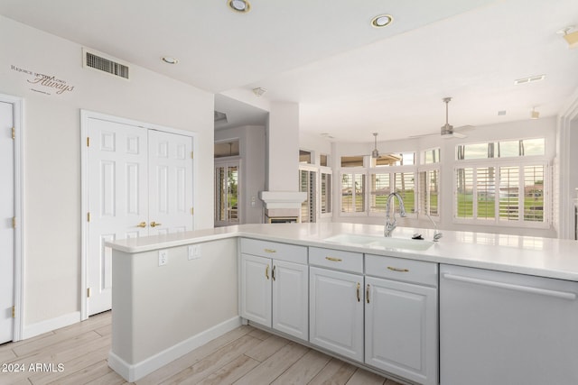 kitchen with a wealth of natural light, sink, light hardwood / wood-style flooring, and dishwashing machine