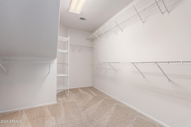 walk in closet with carpet floors