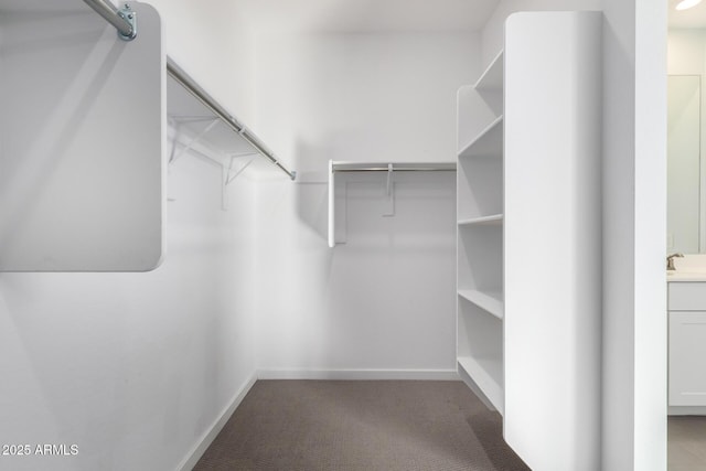 walk in closet featuring carpet flooring and sink