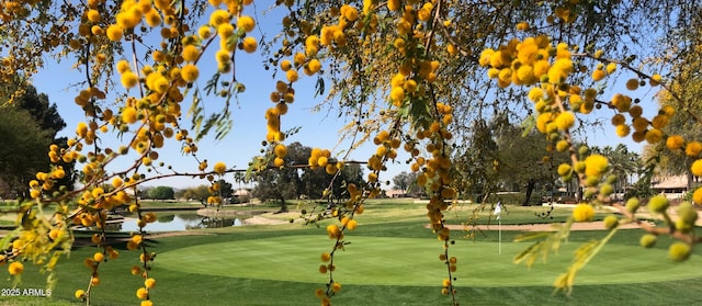 view of community with a water view and golf course view