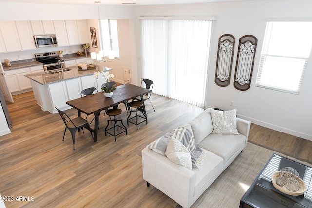 dining area featuring baseboards, a wealth of natural light, and light wood-style floors