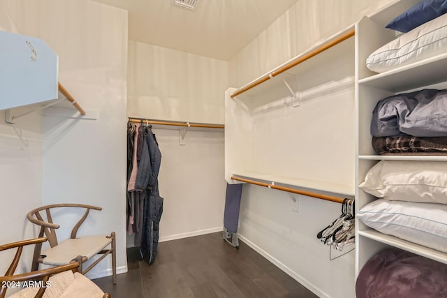 spacious closet with dark wood-type flooring