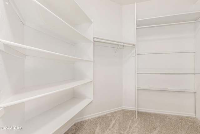 spacious closet featuring carpet