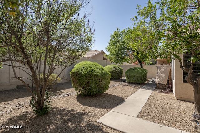 12044 S 45th St, Phoenix, AZ 85044 - view of fenced backyard